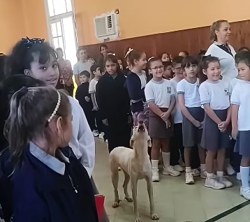 Cão rafeiro invade uma escola e uiva o hino nacional com as crianças. Tem de ver este vídeo hilariante