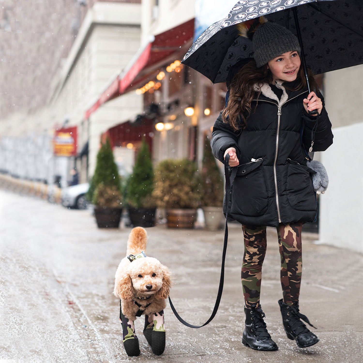 Leggins para cães? Existem e até têm padrões (mais ou menos) berrantes
