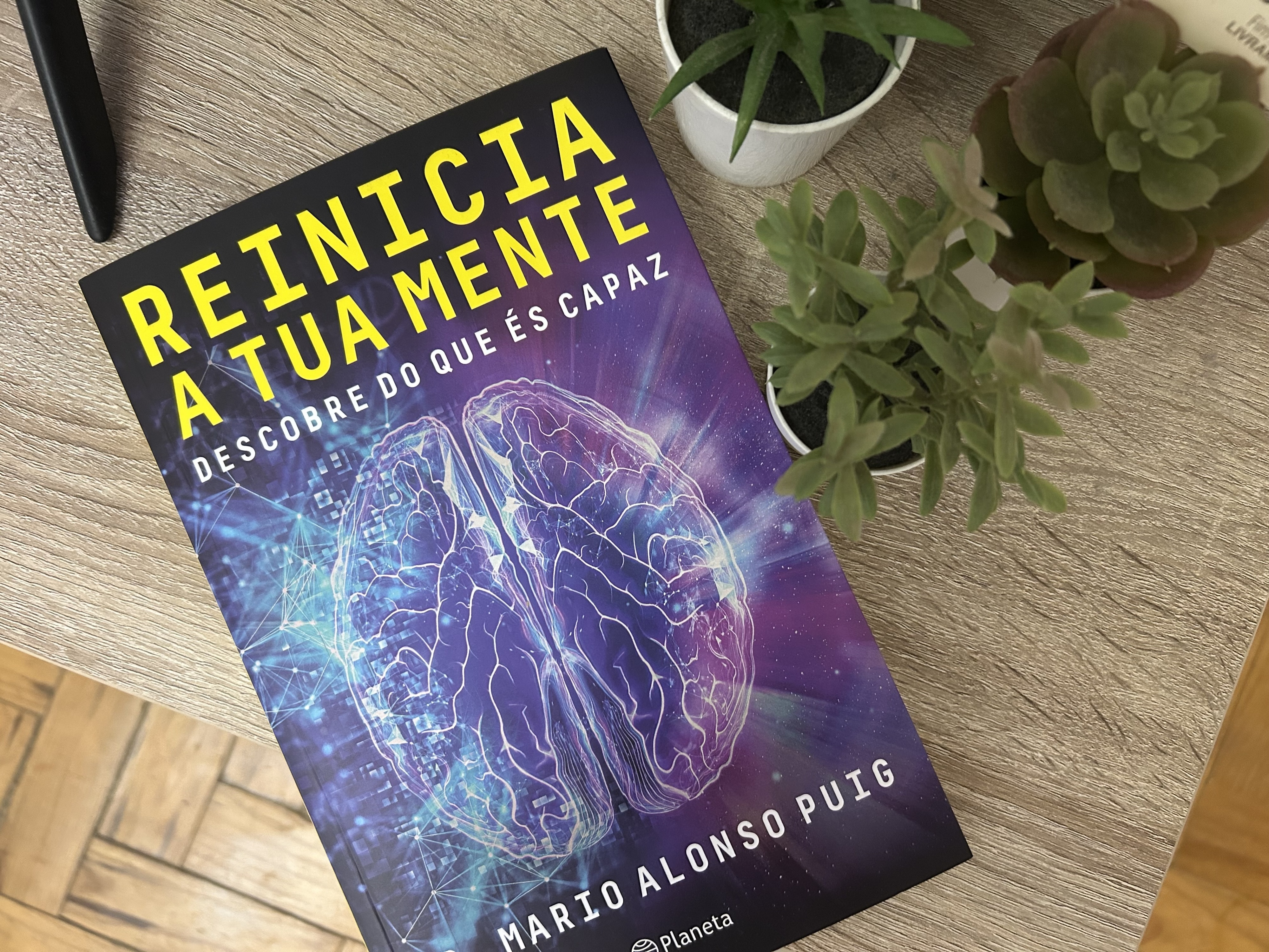 “Reinicia a Tua Mente”. Saiba como acordar o lado direito do cérebro (e potenciá-lo) com estas 2 dicas simples