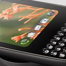 No Dia do Animal, homenageamos estes 21 cães vítimas dos abandonos de verão