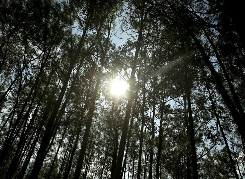 Ainda mais cedo do que em 2024. Portugal esgota hoje os recursos naturais que tinha para todo o ano
