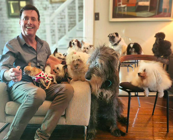 A missão de vida deste homem é adotar animais idosos. Já cuida de 10 cães, um porco e um peru