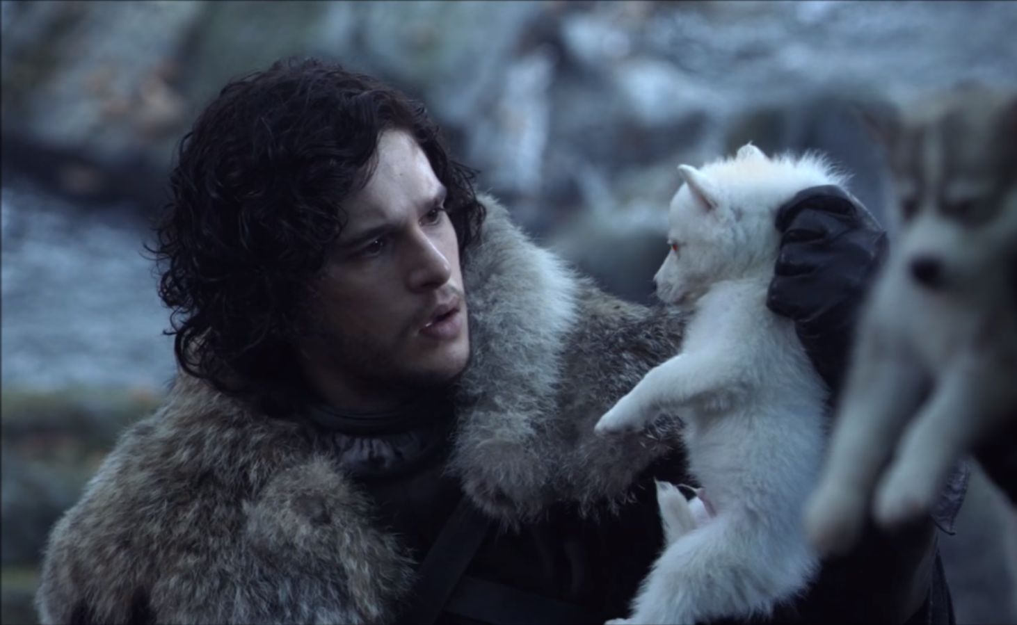Porque é que Jon Snow não se despediu de Ghost?