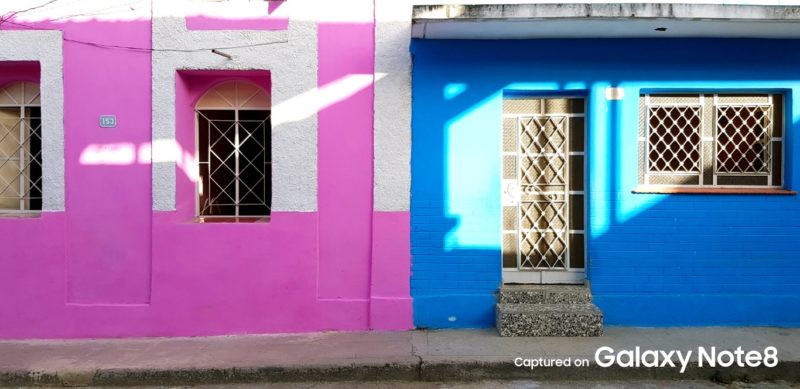 Arte solidária: 48 artistas expõem obras online para ajudar no combate à fome 