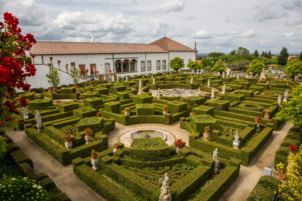 Há dez razões para visitar Castelo Branco e uma envolve laranja com azeite