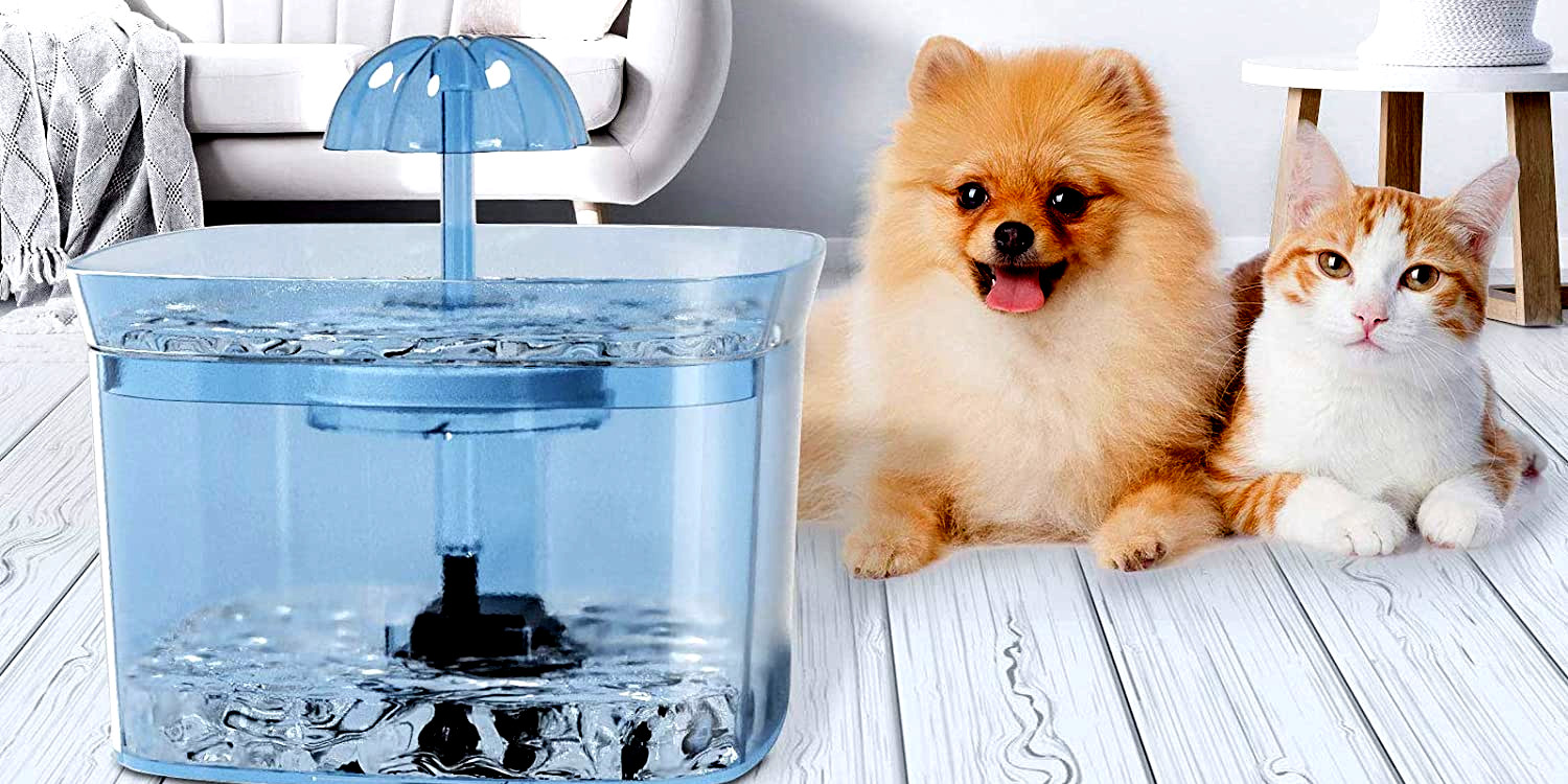 Sugestão TEK: 6 prendas tecnológicas para mimar o seu cão ou gato neste Dia Mundial do Animal de Estimação