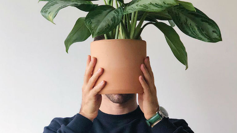 As plantas já são uma tendência entre os millennials — e há quem trabalhe a cuidar delas