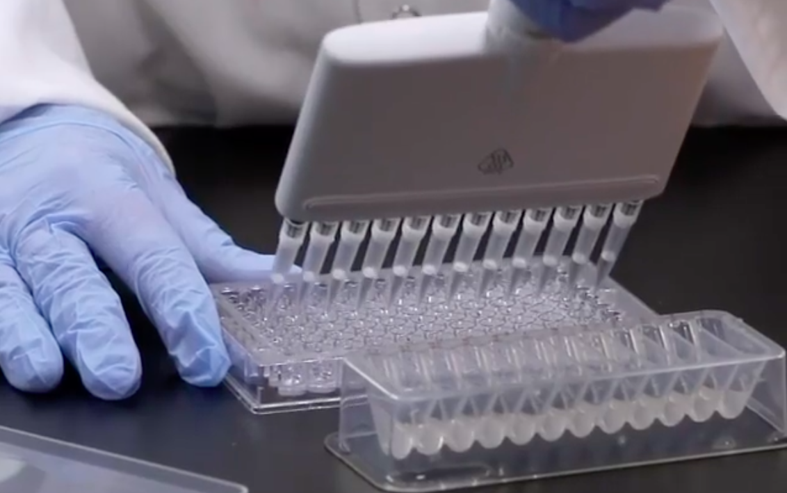 Pfizer. Os efeitos secundários (pouco graves) que sentiram os que já testaram a vacina