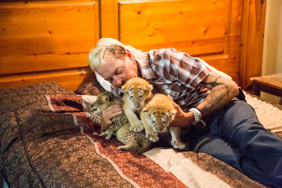 A série “Tiger King” não está a defender os tigres, só vai pôr mais gente a tirar selfies com crias, alerta especialista
