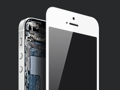 Sabe qual foi o crime que marcou o dia em que nasceu? Este podcast conta-lhe tudo