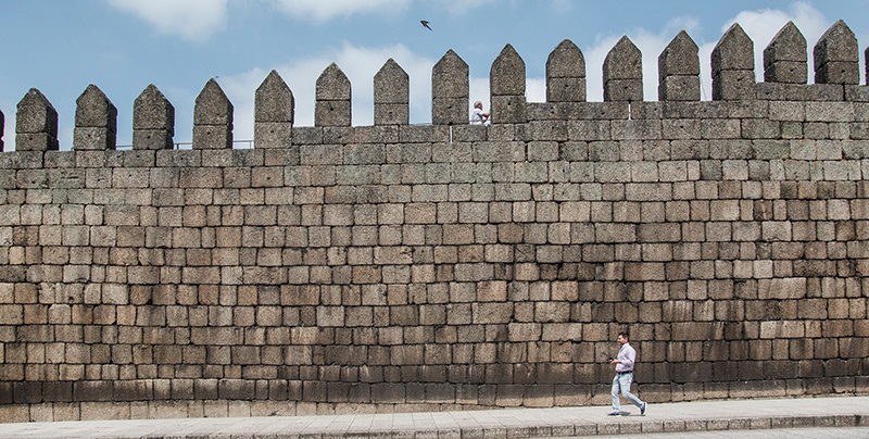 Insólito. Câmara impede limpeza da história muralha de Guimarães para proteger ninhos das andorinhas