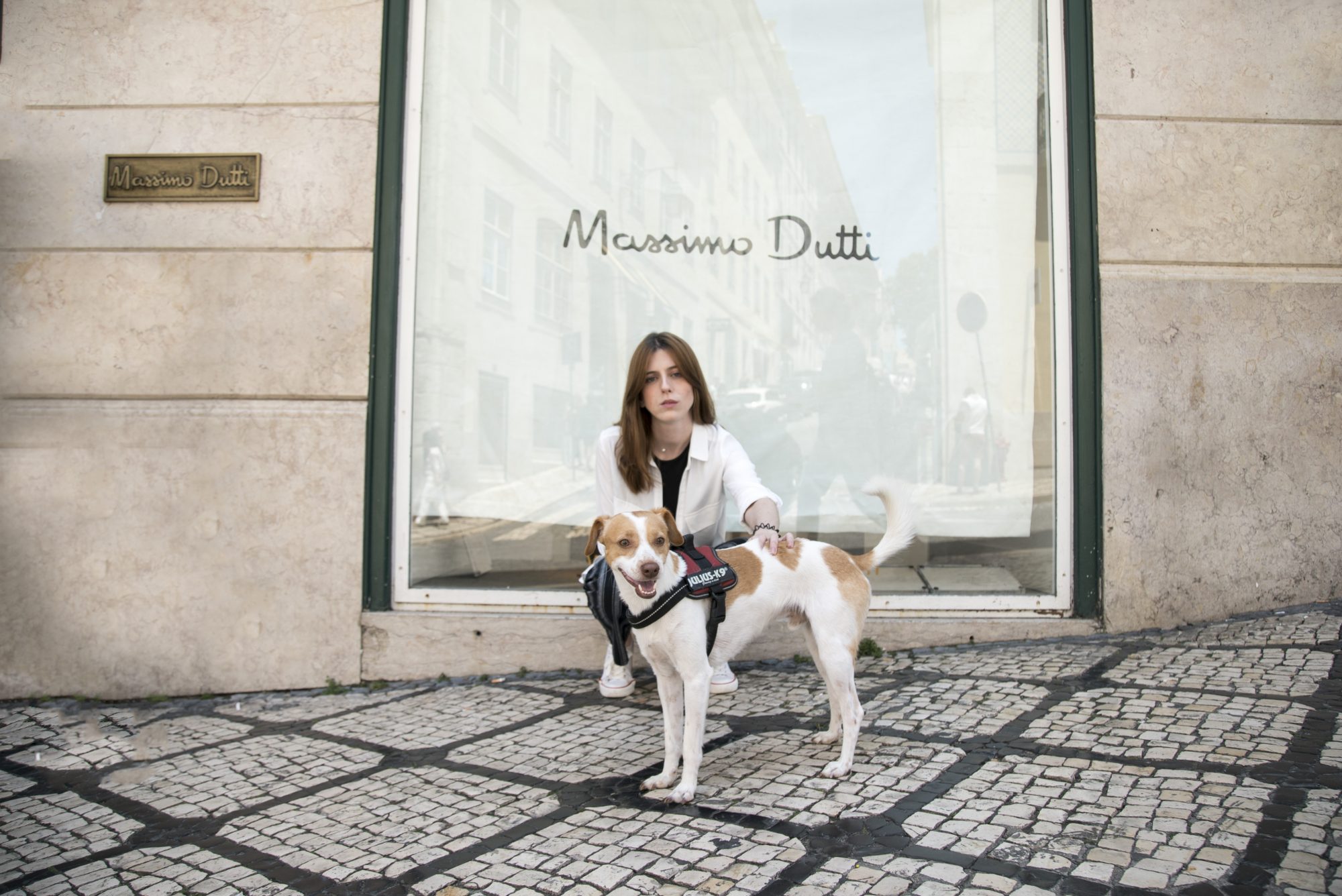 A lei mudou. Será que já conseguimos levar o cão às compras? Fomos testar