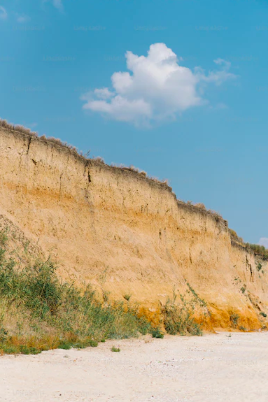 Jovem morre após queda de falésia. Queria impedir o cão de perseguir um coelho