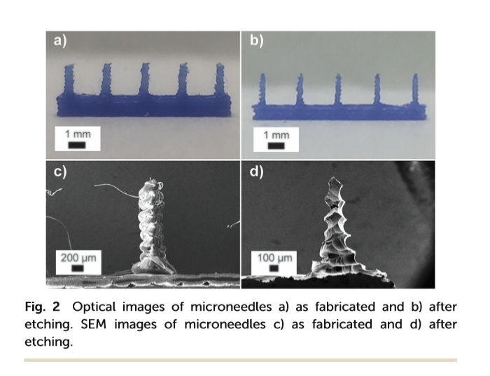Cozinha de autor sem nos arruinar a carteira? Tem de conhecer o Suba — e aproveitar a vista de Lisboa