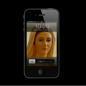 Porcos vivos usados para testar segurança de cadeirinhas em acidentes de viação