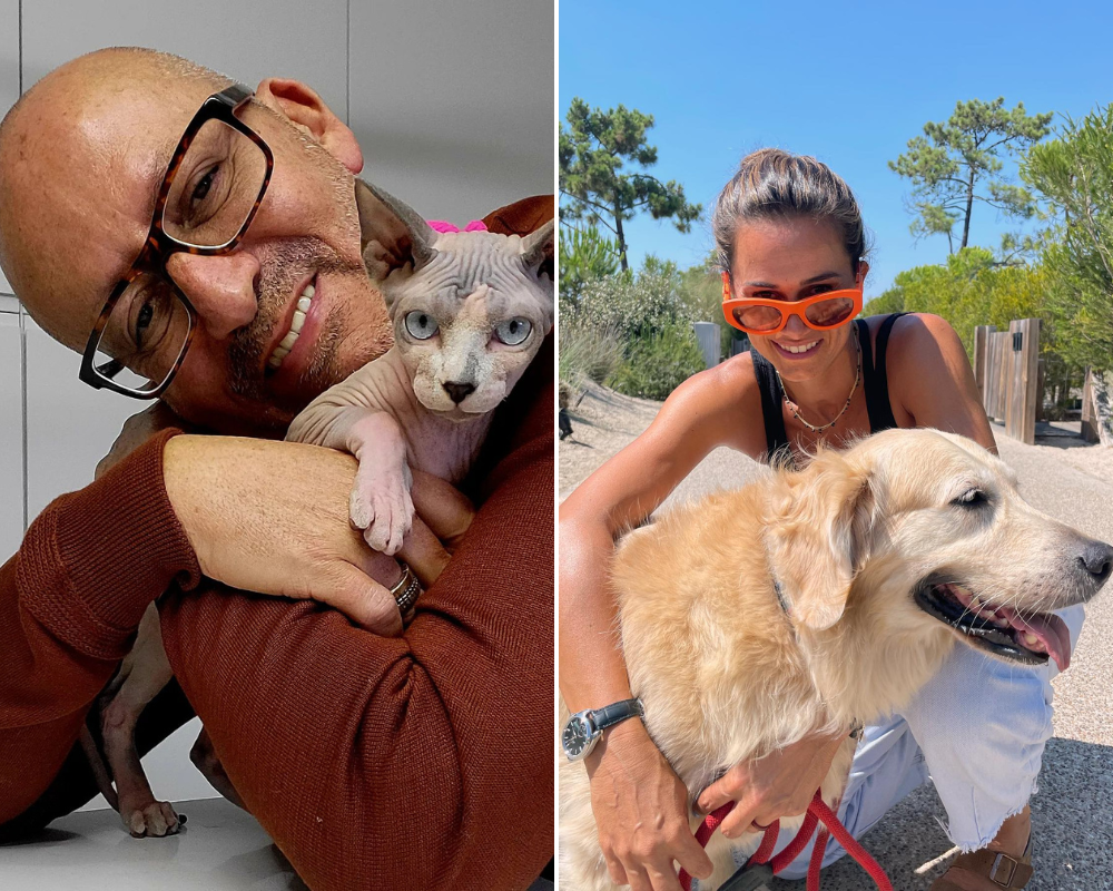 De Goucha a Cláudia Vieira. Veja as fotografias amorosas dos famosos com os animais de estimação