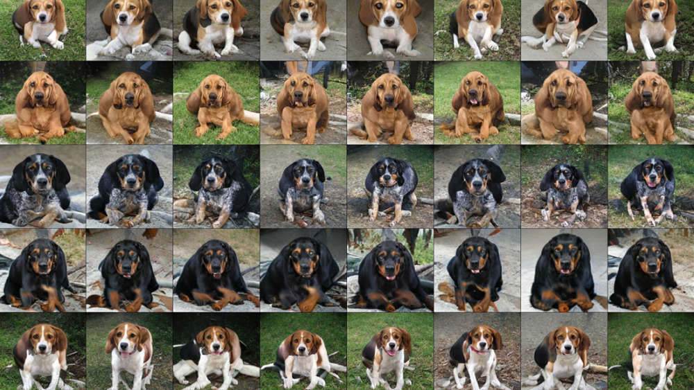 Faz sentido voltar a um amor do passado?