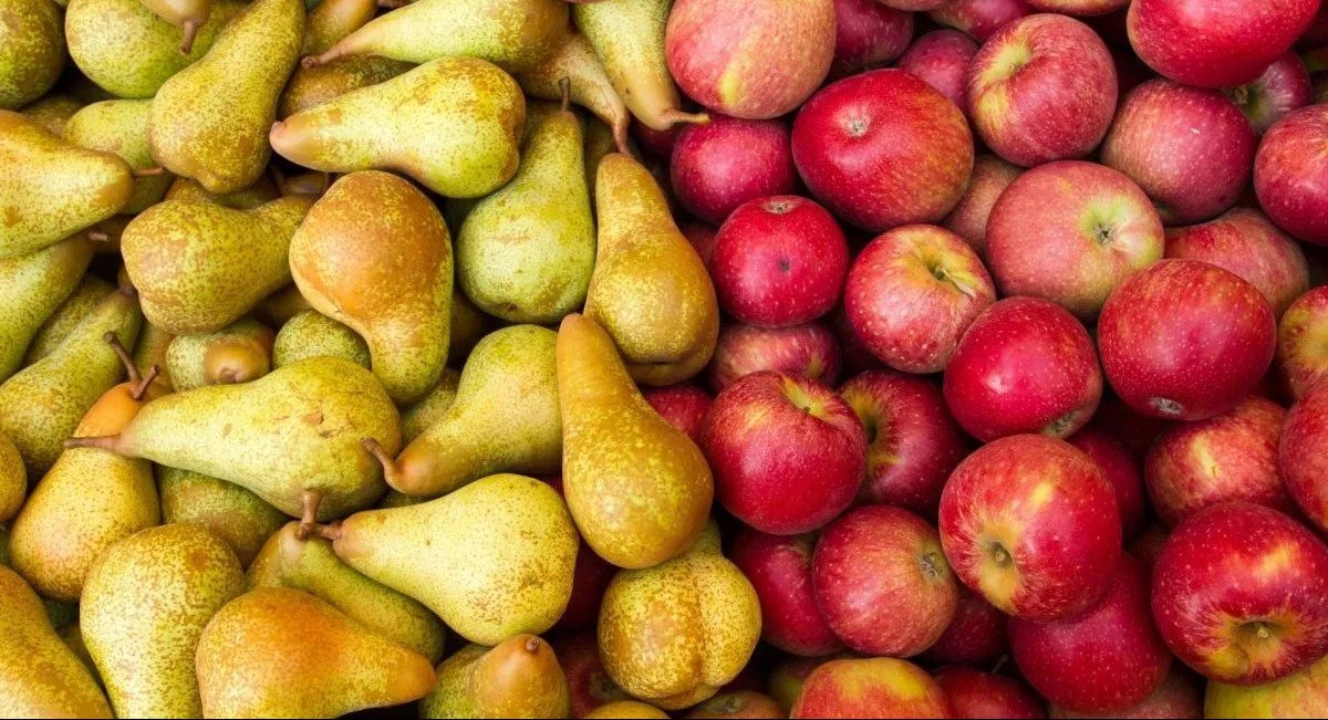 68% das peras e 50% das maçãs portuguesas estão “altamente contaminadas” com pesticidas perigosos, alerta relatório oficial