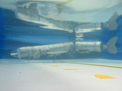 Use joias em ouro rosa nesta primavera