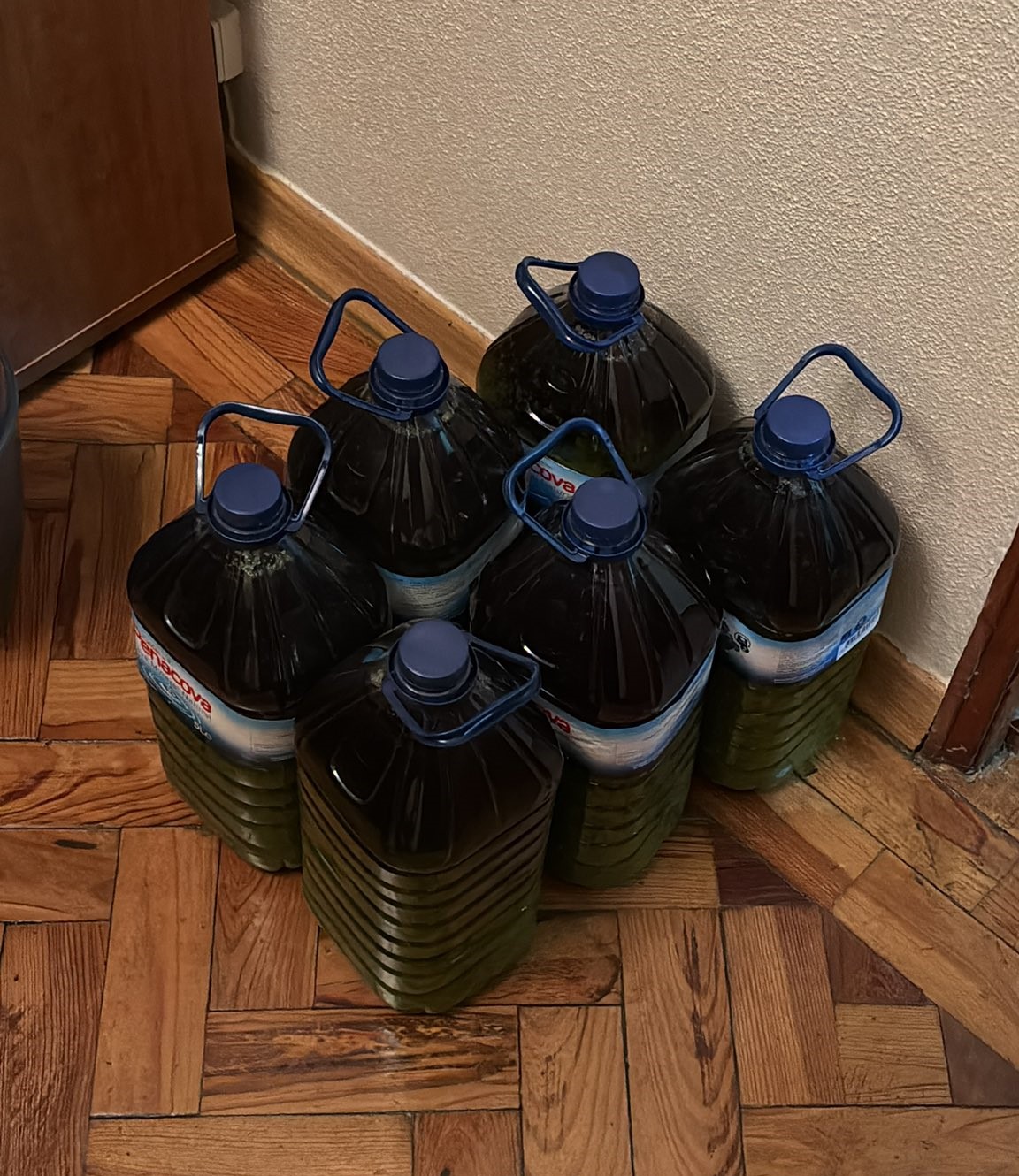 Jovem recebe cerca de 220€ em azeite dos avós e torna-se viral. “Tenho azeite até 2040!”