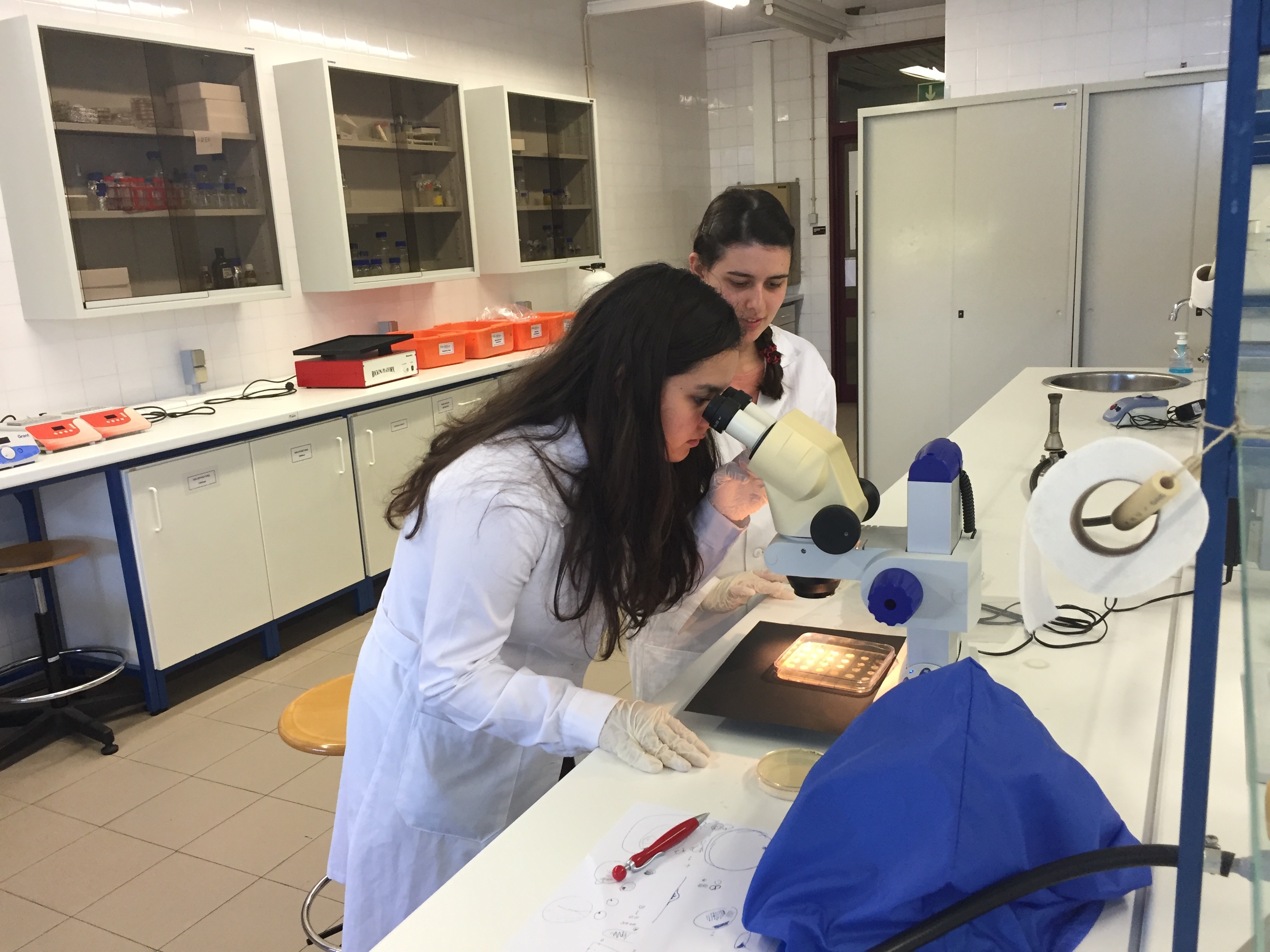 De matemática a informática: FCT NOVA abre novos cursos de Verão para umas férias mais científicas