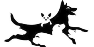 Quantos cães vê na imagem? O número define a sua idade mental e alguns traços de personalidade