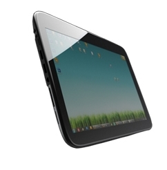 Está a perder mais cabelo do que o normal? A culpa pode ser do stresse do isolamento social