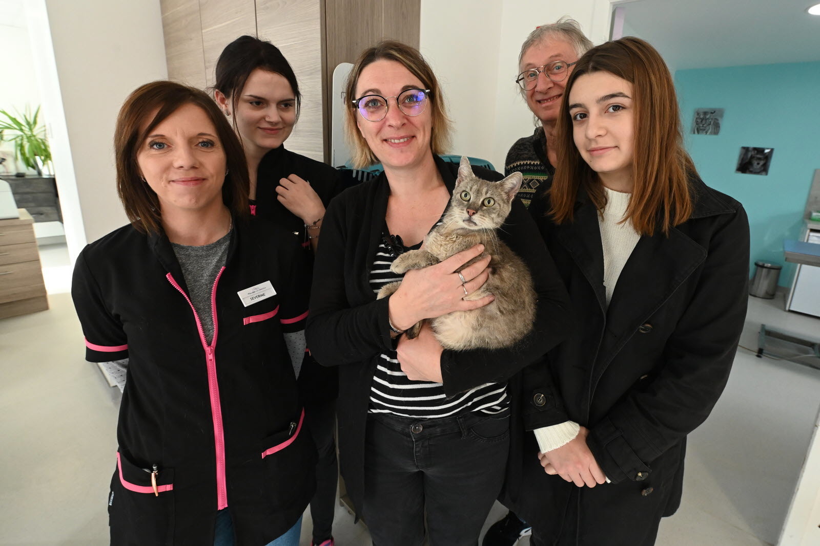 Este gato perdeu-se dos donos e viajou 600 km em 13 meses até encontrar a sua casa