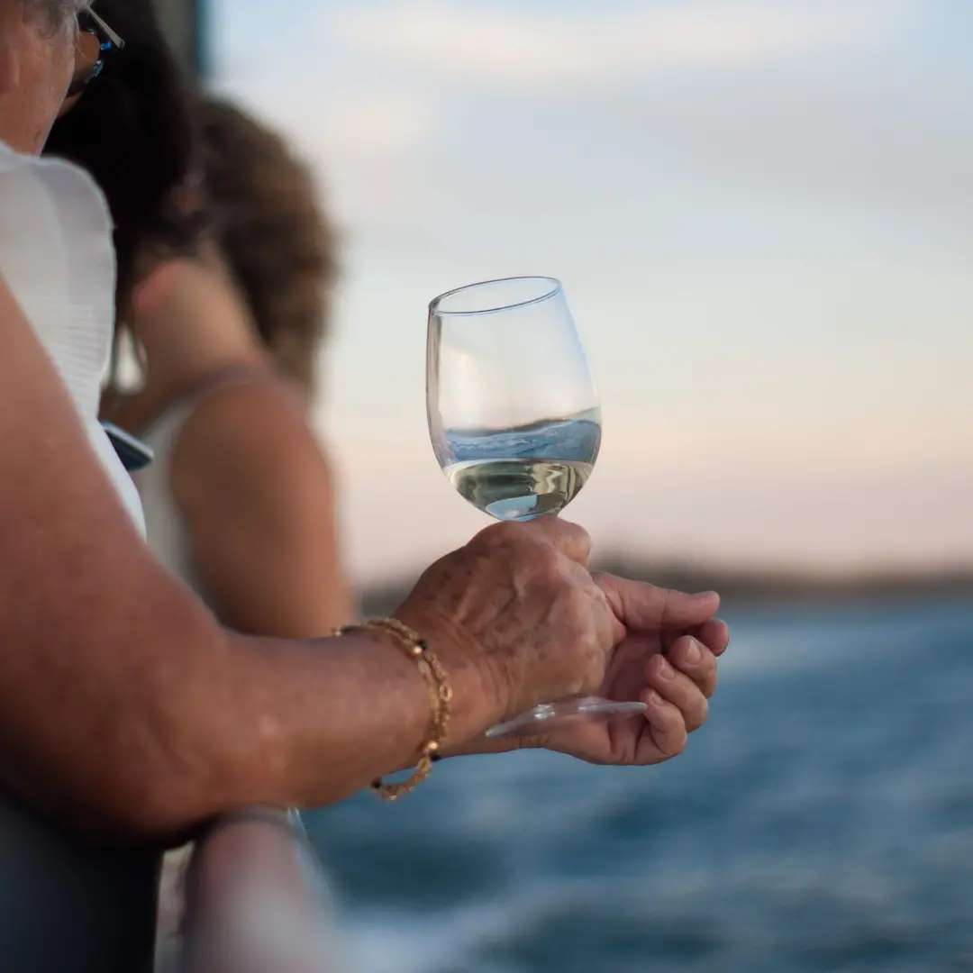 Provas de vinho, sushi, Dj e pôr do sol. Entre a bordo deste barco para uma festa no Alqueva