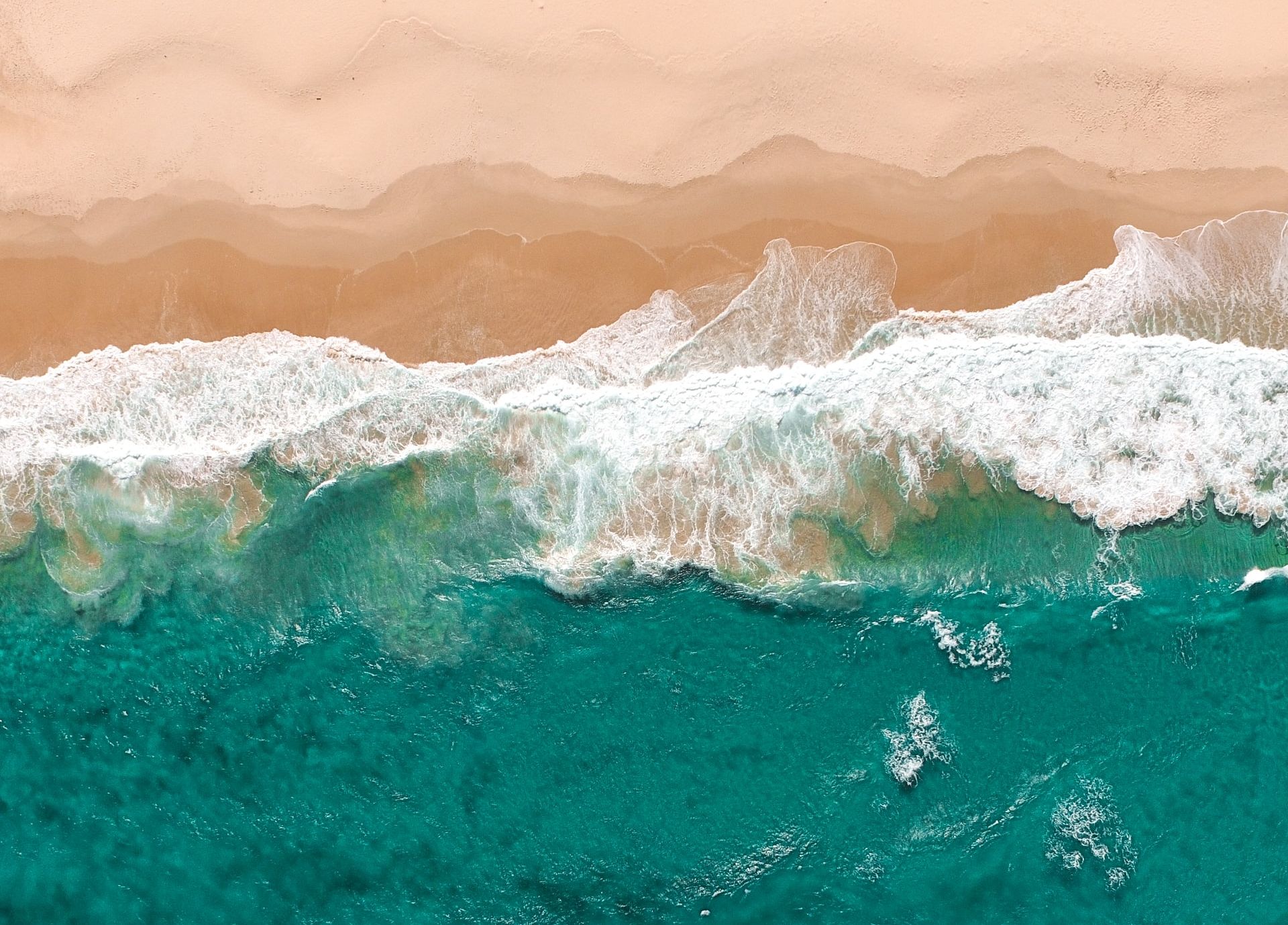 Governo reúne grupo de trabalho para desenvolver o Centro Internacional de Biotecnologia Azul