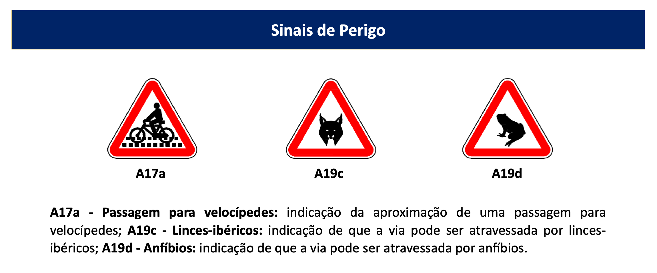 Dia 20 vai haver novos sinais de trânsito nas estradas portuguesas. Saiba quais são e o que significam