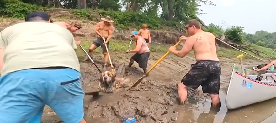 Grupo de amigos em despedida de solteiro resgatam cão enterrado na lama (vídeo)