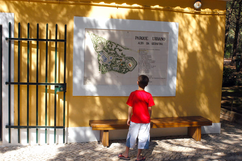 Atividades para crianças. Uma caça aos brinquedos ao ar livre