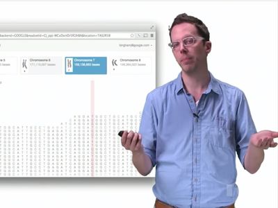 Dia Mundial da Pneumonia: a vacina pode prevenir 73% dos casos