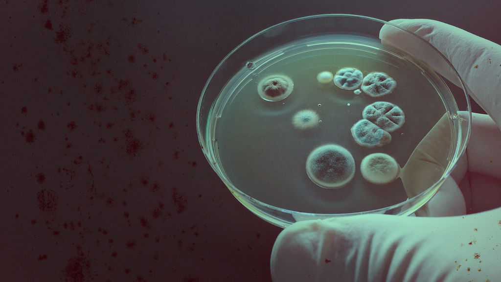 “Doenças do Século XXI”. A série da Netflix que deixou os protagonistas furiosos