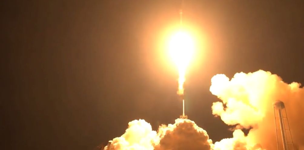 Dono de cavalo cortou-lhe as pernas. Agora, está a receber ameaças de morte e pede perdão