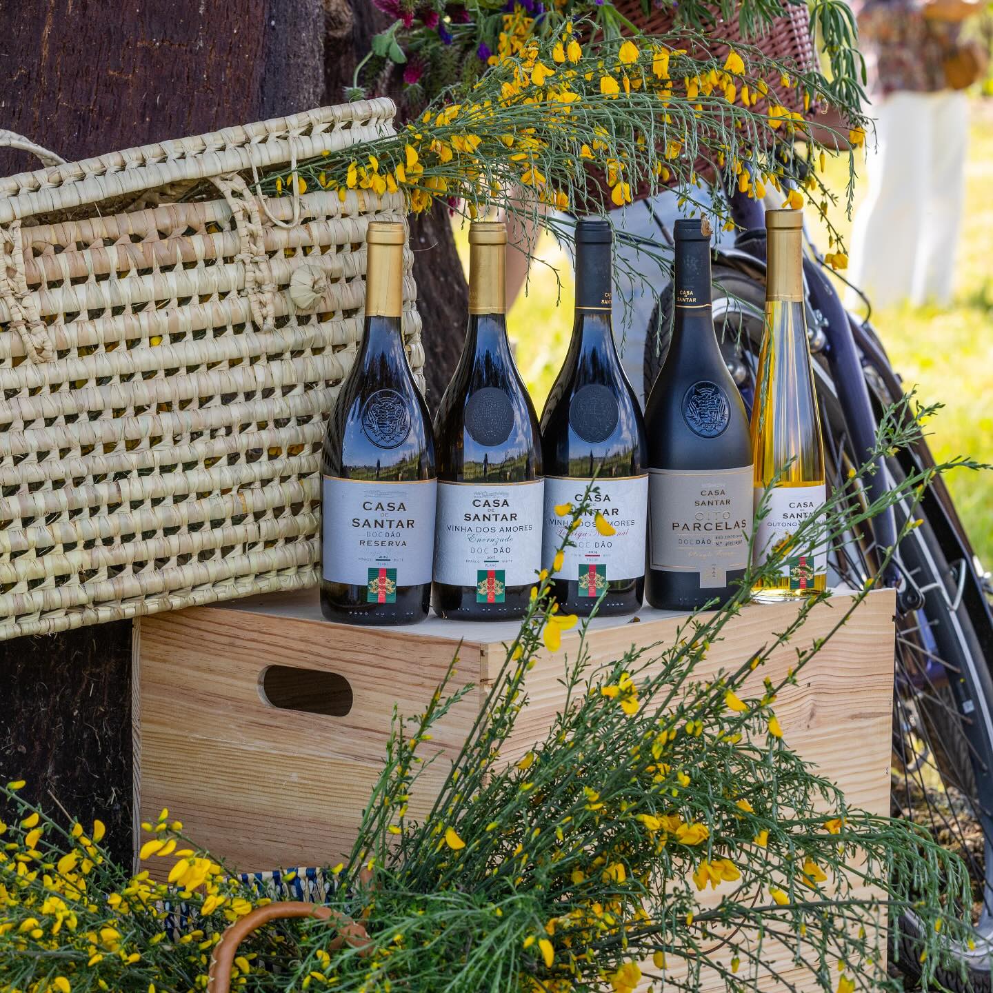 Estes 3 novos vinhos da Casa de Santar são o trio que faltava na mesa de verão. Saiba quanto custam