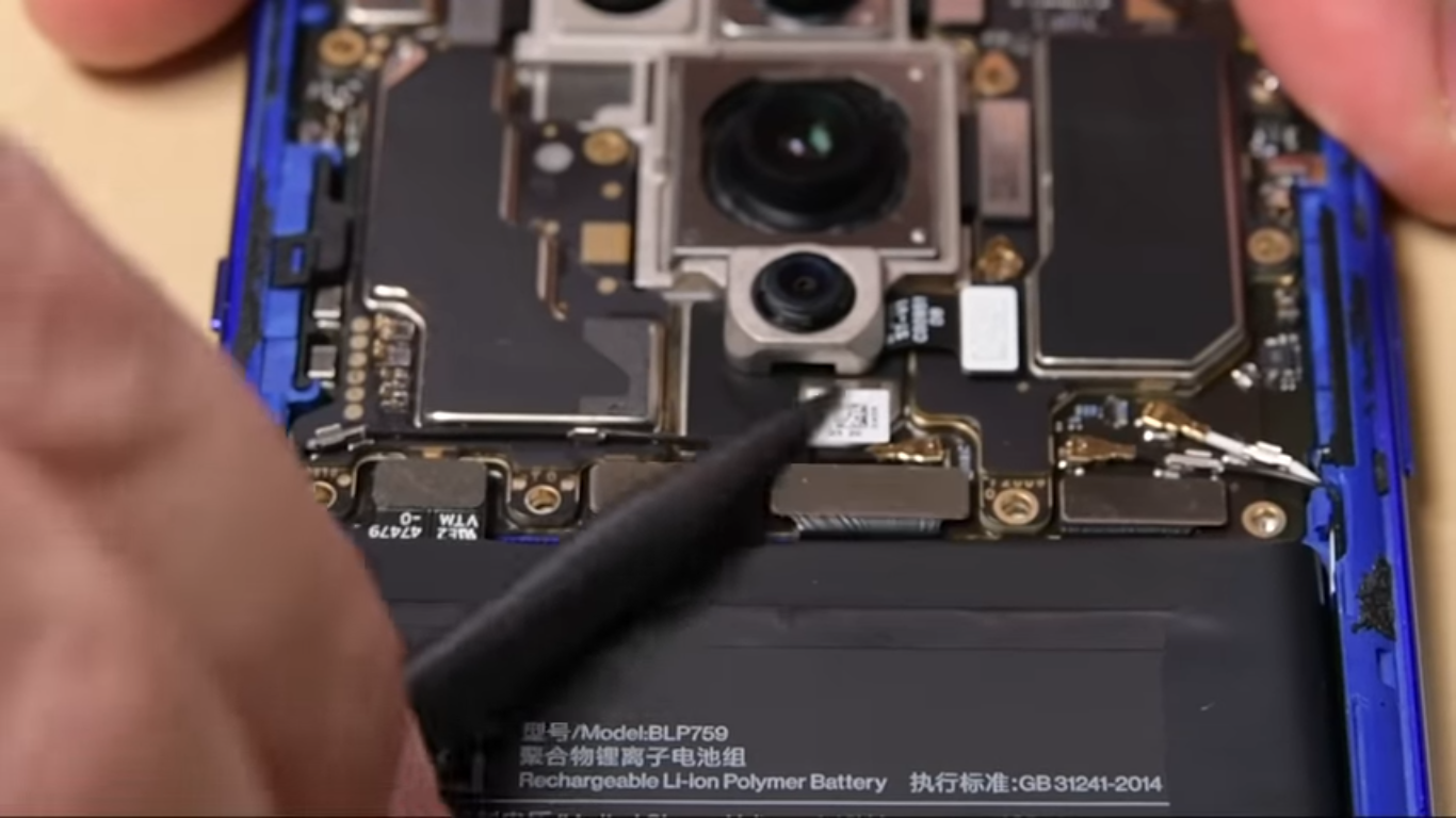 Felipe Neto responde a Susana Dias Ramos. “É paga para comentar o ‘Big Brother’, não a minha vida”