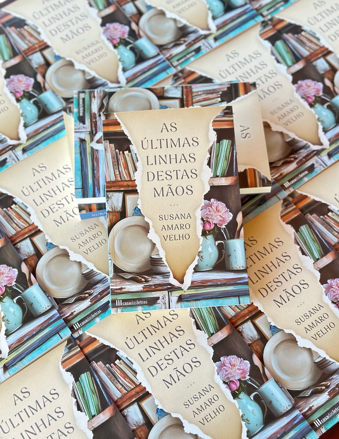 “As Últimas Linhas Destas Mãos”. Este romance português surge depois da morte e olha o abandono nos olhos