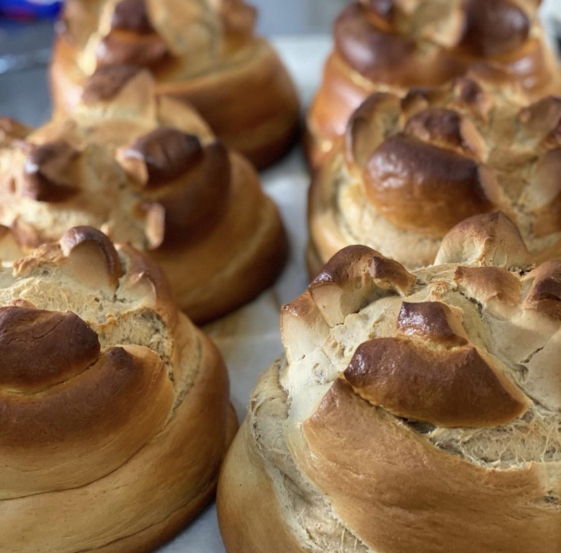 5 sítios onde pode encomendar as famosas fogaças de Santa Maria da Feira