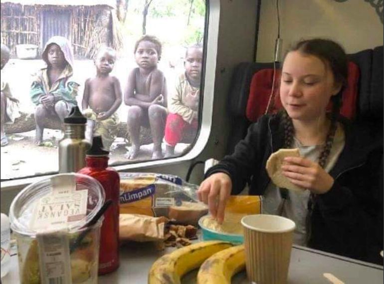 Filho de Bolsonaro usa fotografia adulterada para denegrir Greta Thunberg