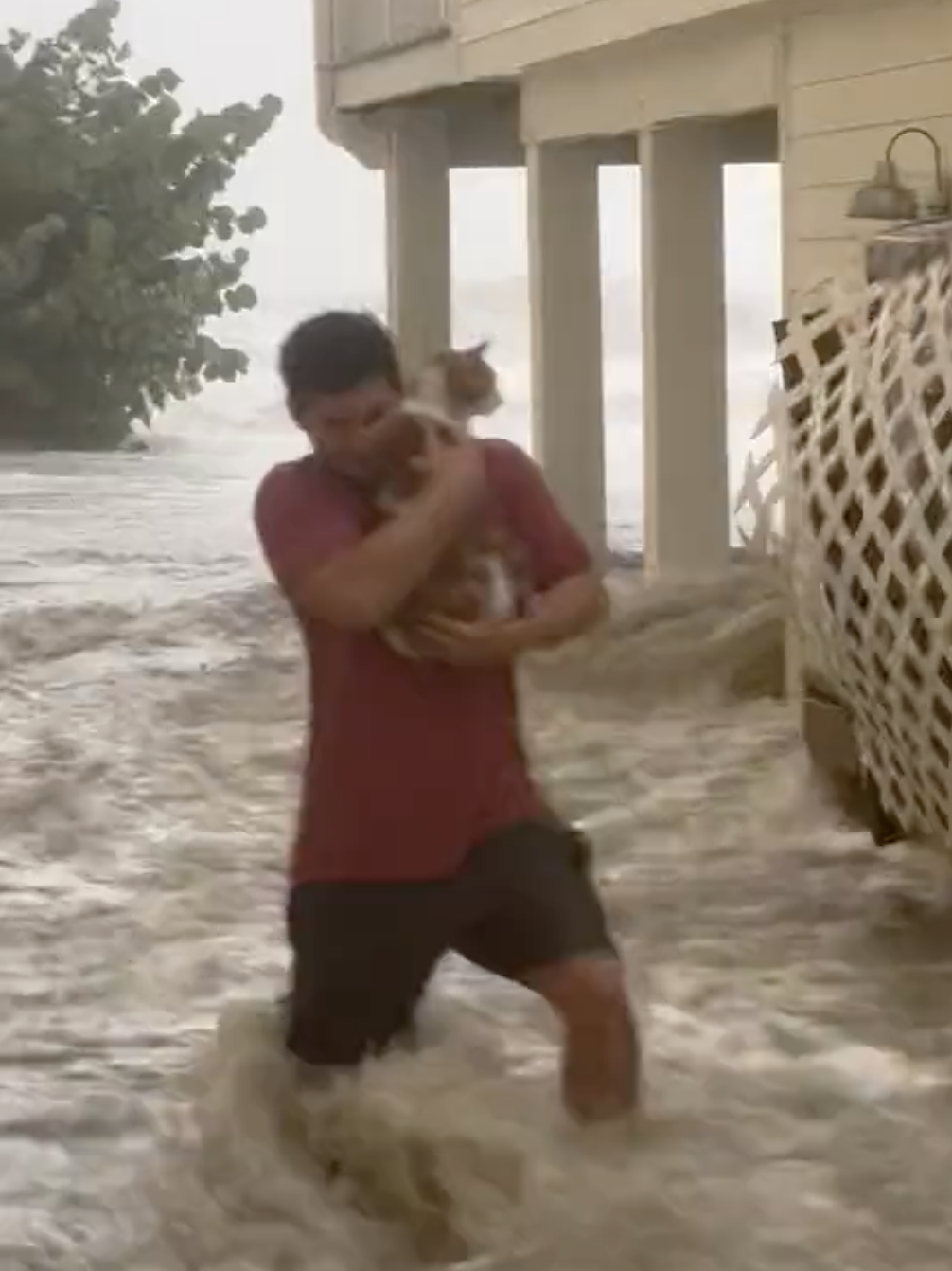 Homem resgata gato do meio das cheias e torna-se o novo herói da internet. Veja o momento