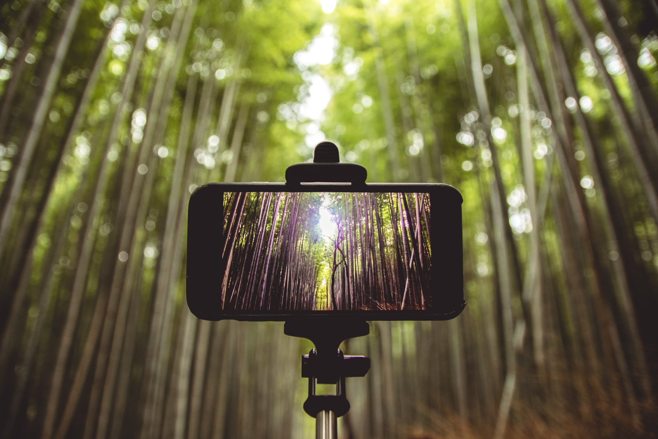 Jovem rouba telemóvel a idoso e é atropelado por autocarro logo depois. Câmara de video-vigilância captou tudo