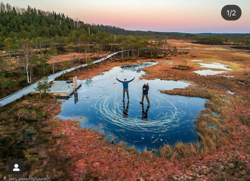 Estónia quer ser um refúgio pós COVID-19 para os profissionais TIC e está a escolher os candidatos