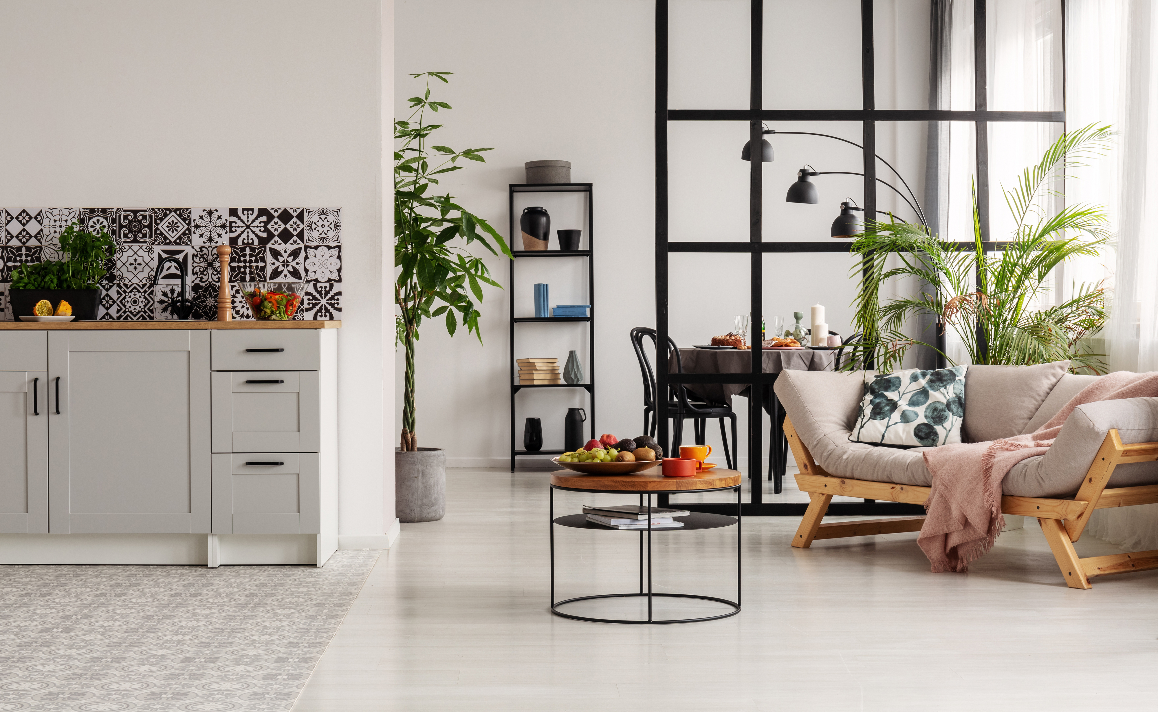 As plantas são a nova tendência de decoração, mas nem todas devem entrar em casa. Revelamos quais