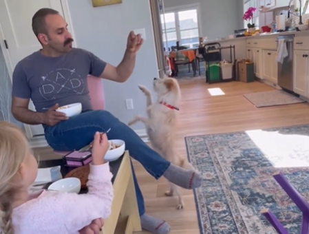 Cadela desaparecida é encontrada a 3.200 quilómetros de casa. “Uma história digna de Hollywood”