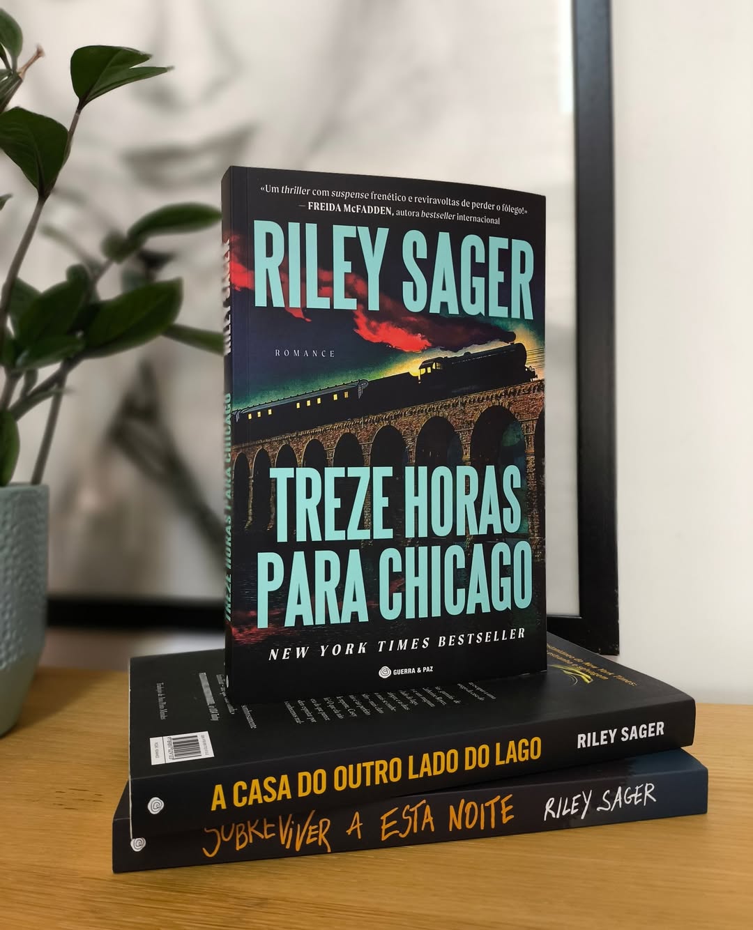 Atenção, fãs de Agatha Christie e Freida McFadden. Este novo thriller promete reviravoltas e muito suspense