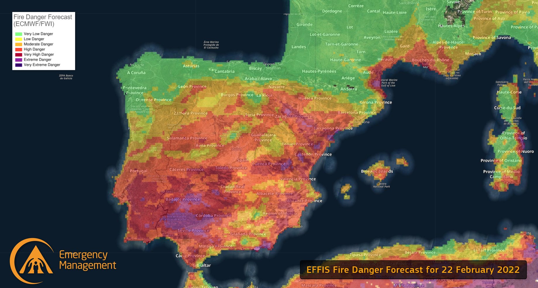Cadela morre após ser agredida com socos e enforcada por funcionária numa loja para animais
