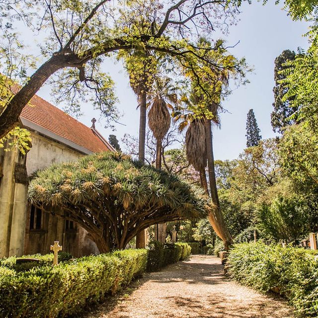 Setembro arranca com festival de exposições noturnas e percursos guiados pelos jardins de Lisboa