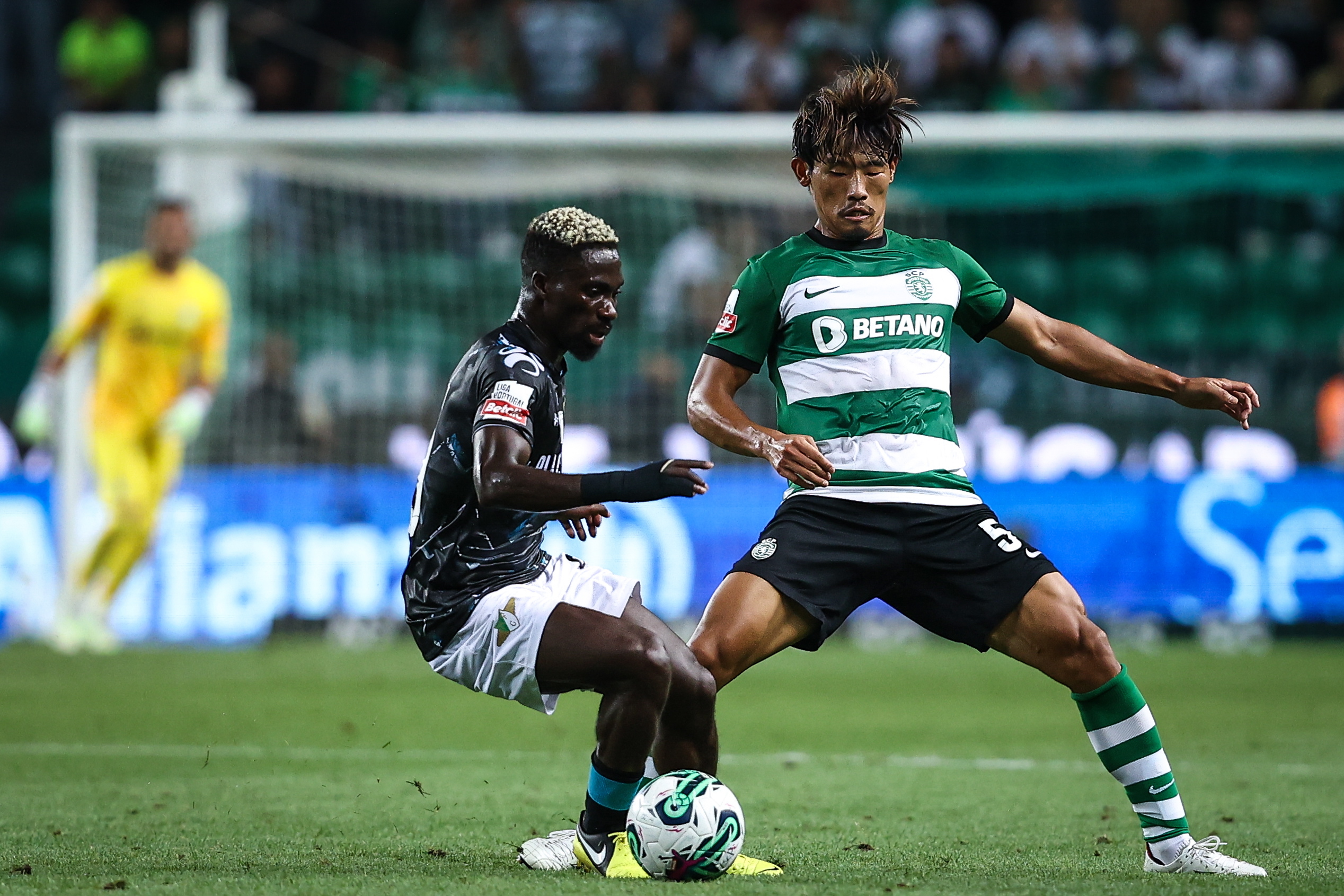 Resumo: Sporting 3-0 Moreirense (Liga 23/24 #5) 